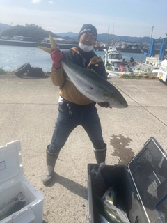 ブリの釣果