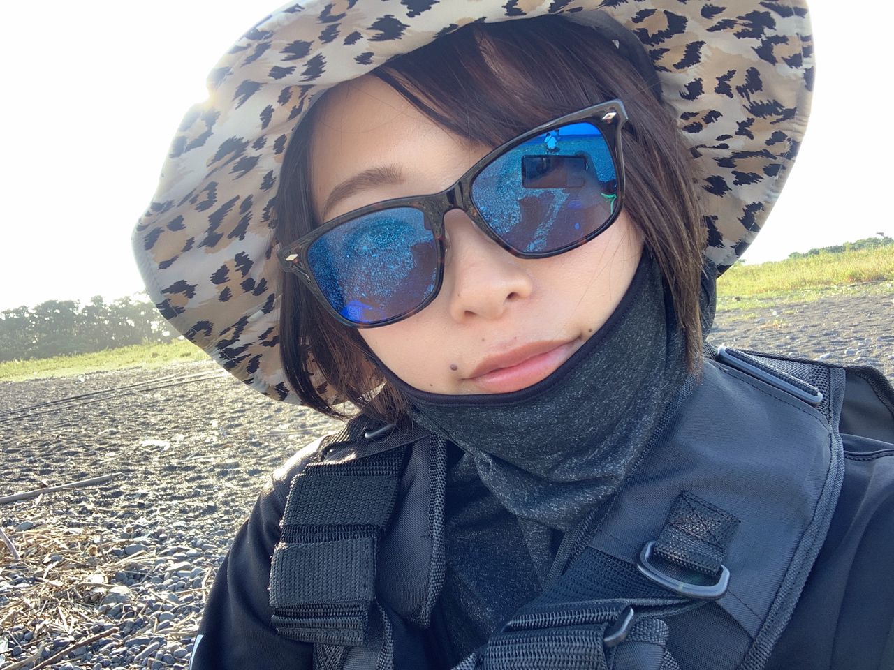 シュモクザメ