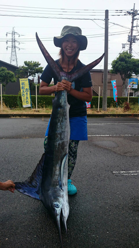 マカジキの釣果