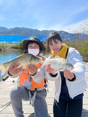 ヘラブナの釣果