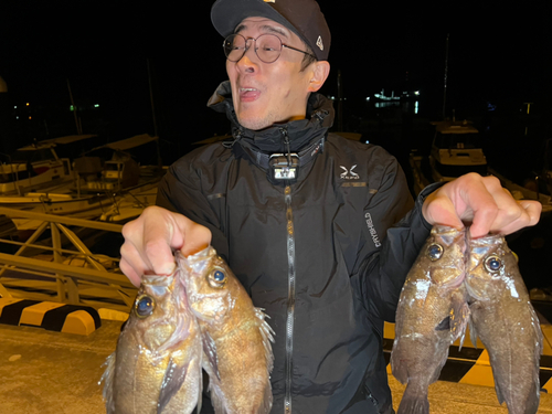 メバルの釣果