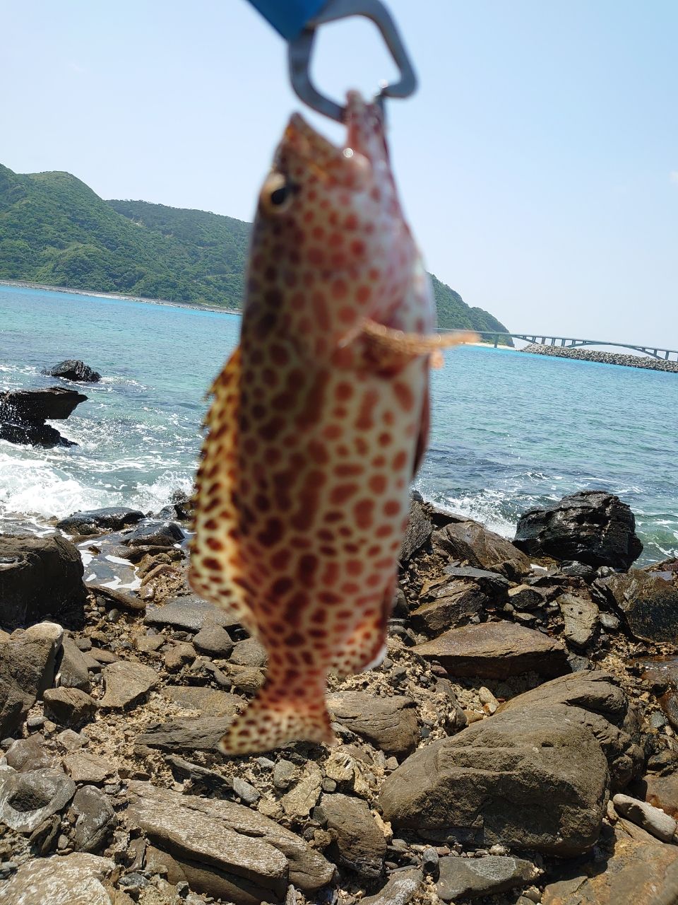イシミーバイ