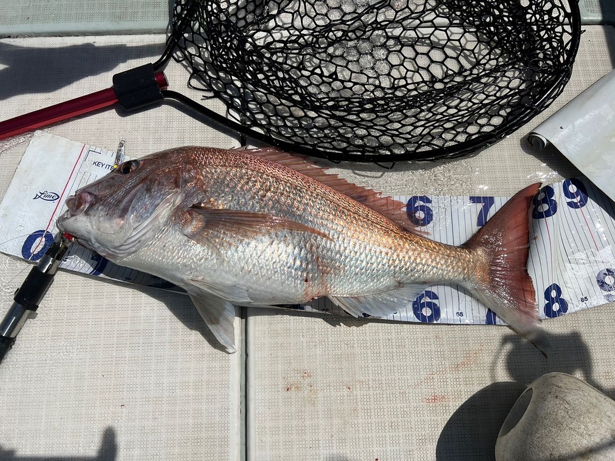 遊漁船たかくらさんの釣果 2枚目の画像