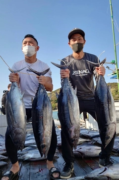 ビンチョウマグロの釣果