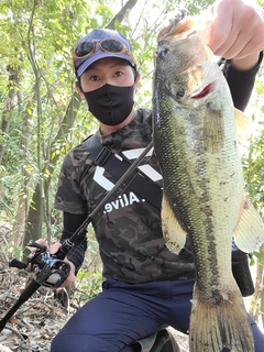 ラージマウスバスの釣果