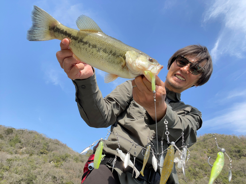 ブラックバスの釣果