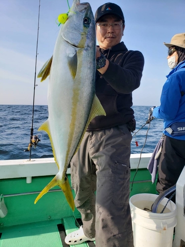 ヒラマサの釣果