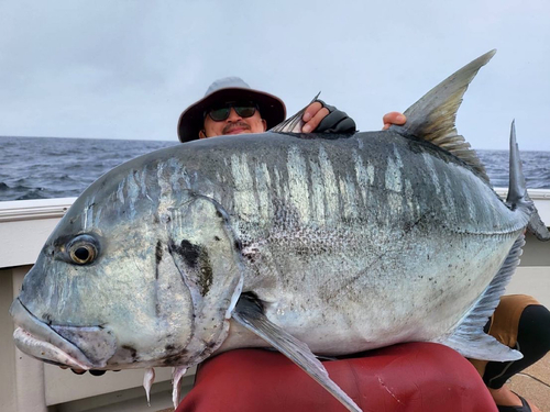 GTの釣果