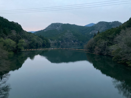 ヘラブナの釣果