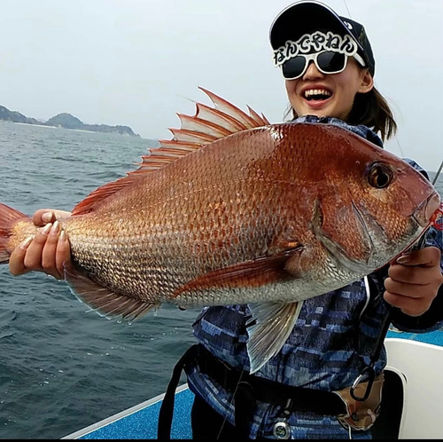 マダイの釣果