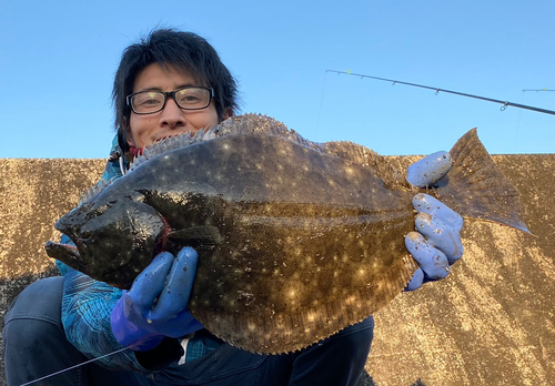 ヒラメの釣果