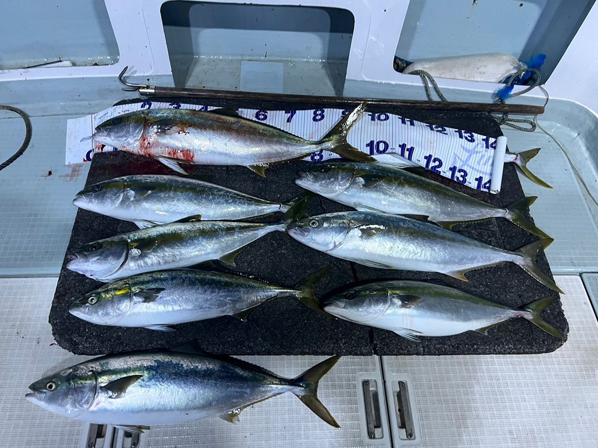 遊漁船たかくらさんの釣果 2枚目の画像