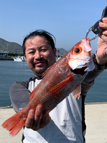 アカムツの釣果