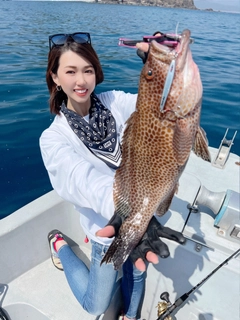 オオモンハタの釣果