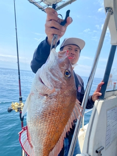 マダイの釣果