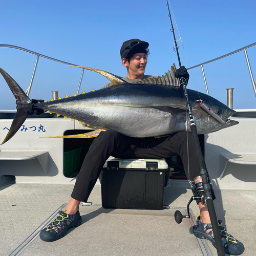 キハダマグロの釣果