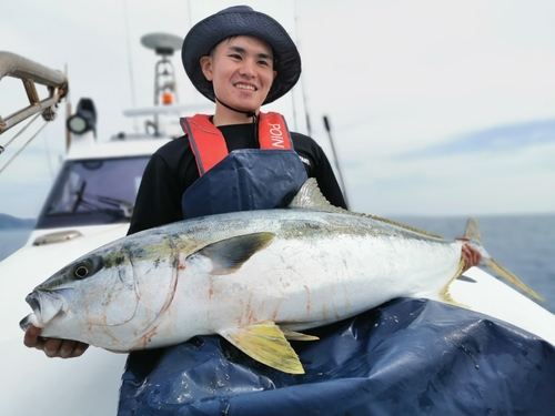 ヒラマサの釣果