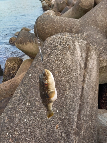 釣果