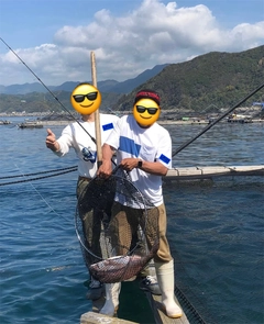 タイの釣果