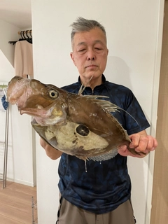 ヒラメの釣果