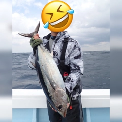 ビンチョウマグロの釣果