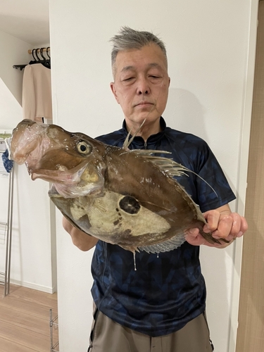 マトウダイの釣果