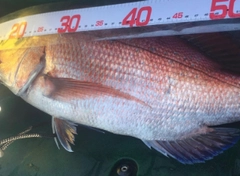 タイの釣果