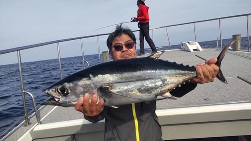 ビンチョウマグロの釣果