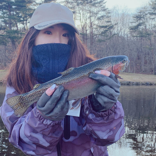 ニジマスの釣果