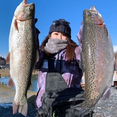 ニジマスの釣果