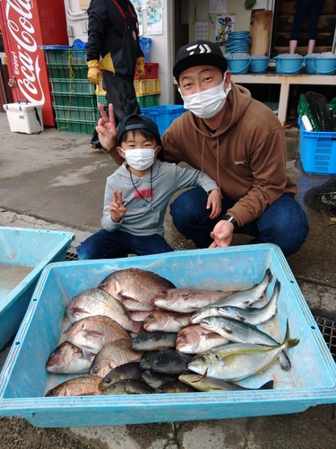 マダイの釣果