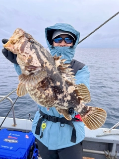 ベッコウゾイの釣果