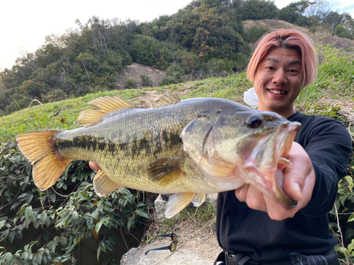 ブラックバスの釣果