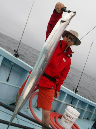 タチウオの釣果