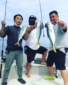 ハマチの釣果