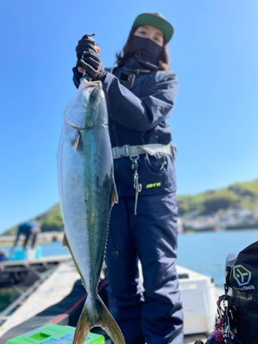 メジロの釣果