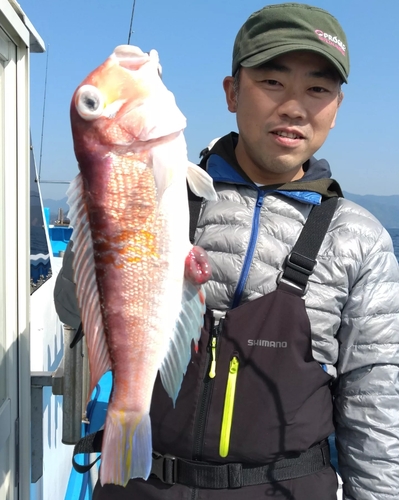 アマダイの釣果