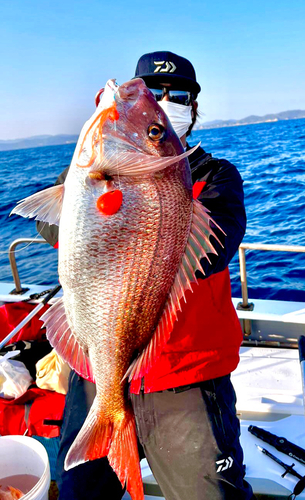 タイの釣果