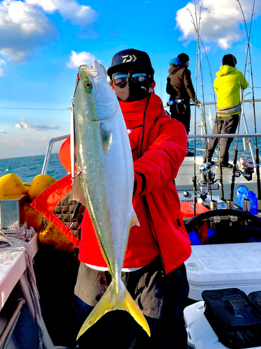 ワラサの釣果