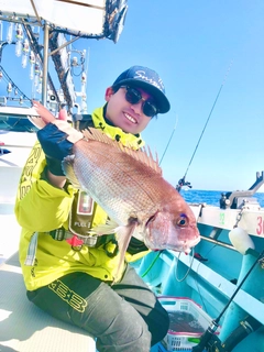 マダイの釣果