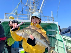 ホッケの釣果