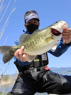 ラージマウスバスの釣果