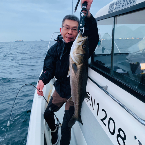 スズキの釣果