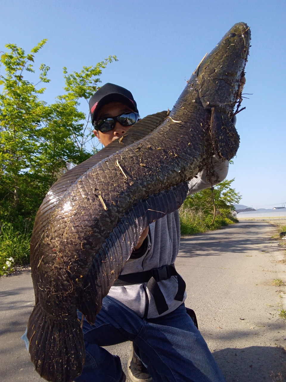 三重県☆雷魚☆ポイントマップ☆厳選26ヵ所☆モンスター☆フロッグ☆2022年最新版 - フィッシング