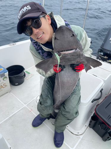 タロウザメの釣果