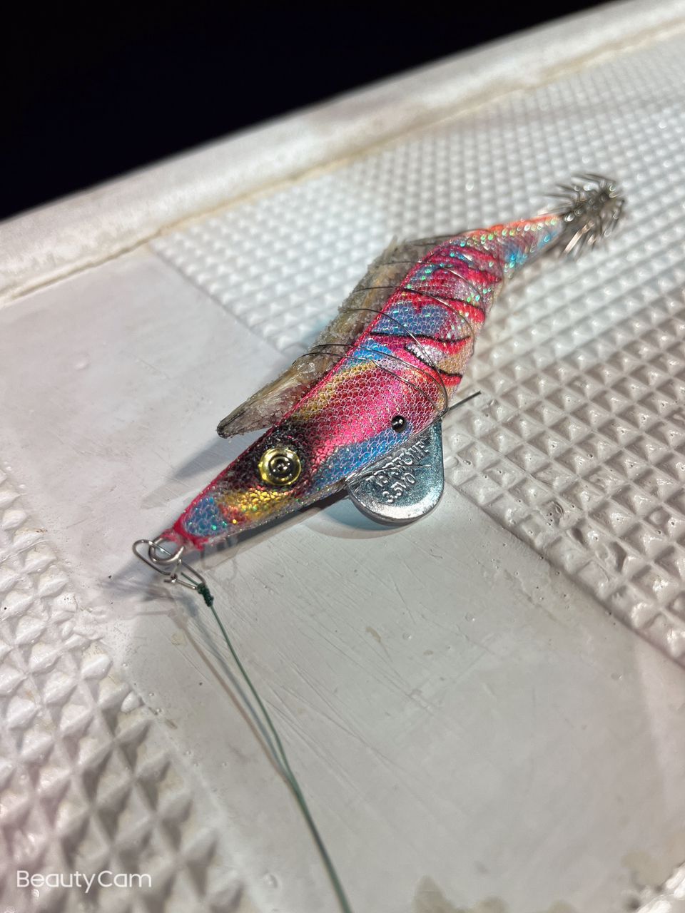 🦑Ｒen。　ニューハーフ釣り師🦑さんの釣果 3枚目の画像