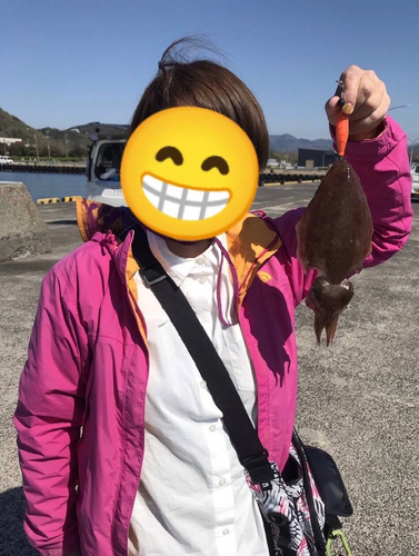 コウイカの釣果