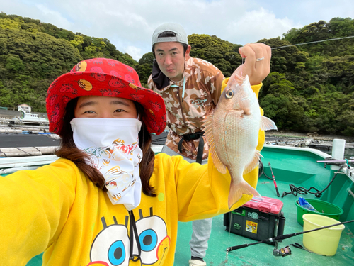 マダイの釣果