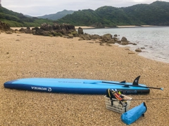 ヤミハタの釣果