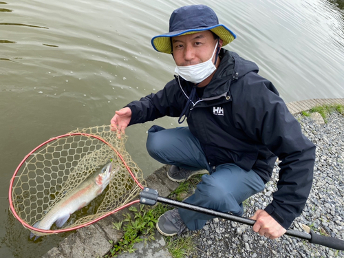 トラウトの釣果